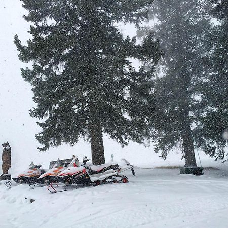 Cimarron Arrowhead Mountain Lodge חדר תמונה